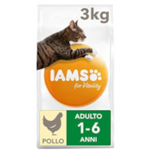 Iams cibo per gatti