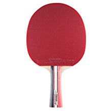 Tibhar racchetta da ping pong