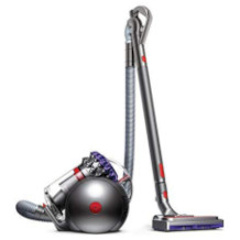 Dyson Big Ball Animal 2