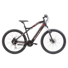 F.lli Schiano mountainbike elettrica