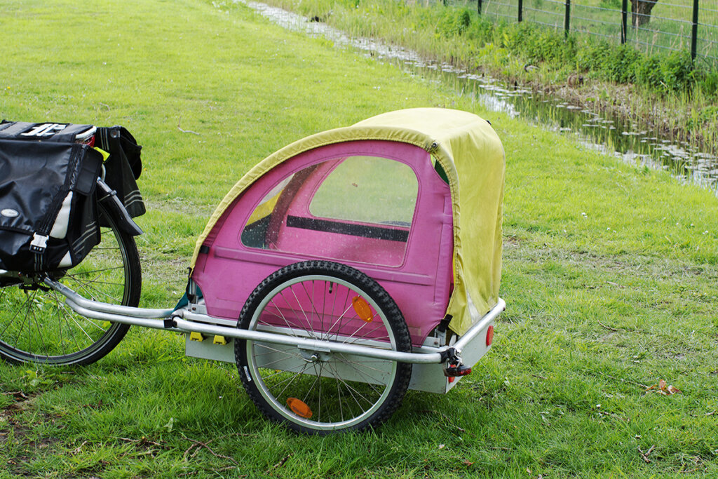 rimorchio per bicicletta rosa