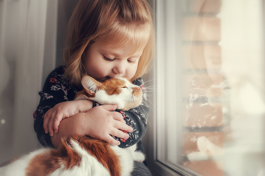 piccola ragazza che tiene il gatto