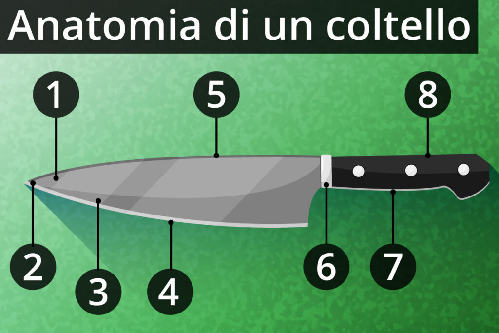 anatomy_of_a_knife