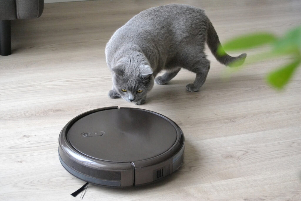 Gatto che osserva il robot aspirapolvere