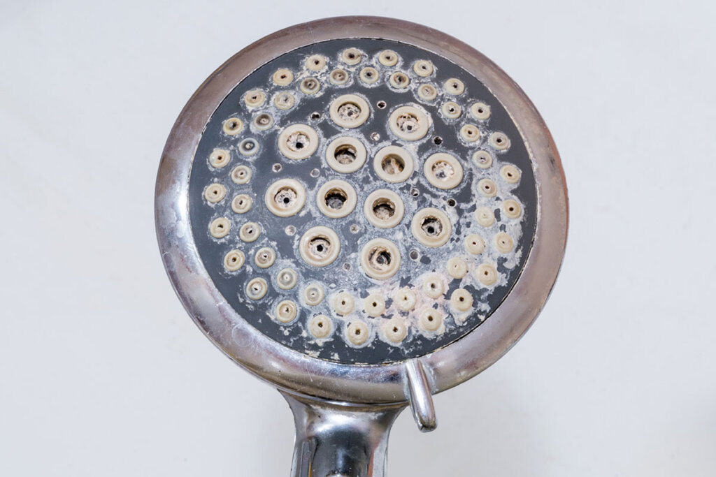 calcified-shower-head