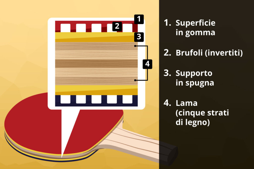 dissection_of_the_layers_of_wood_sponge_and_rubber