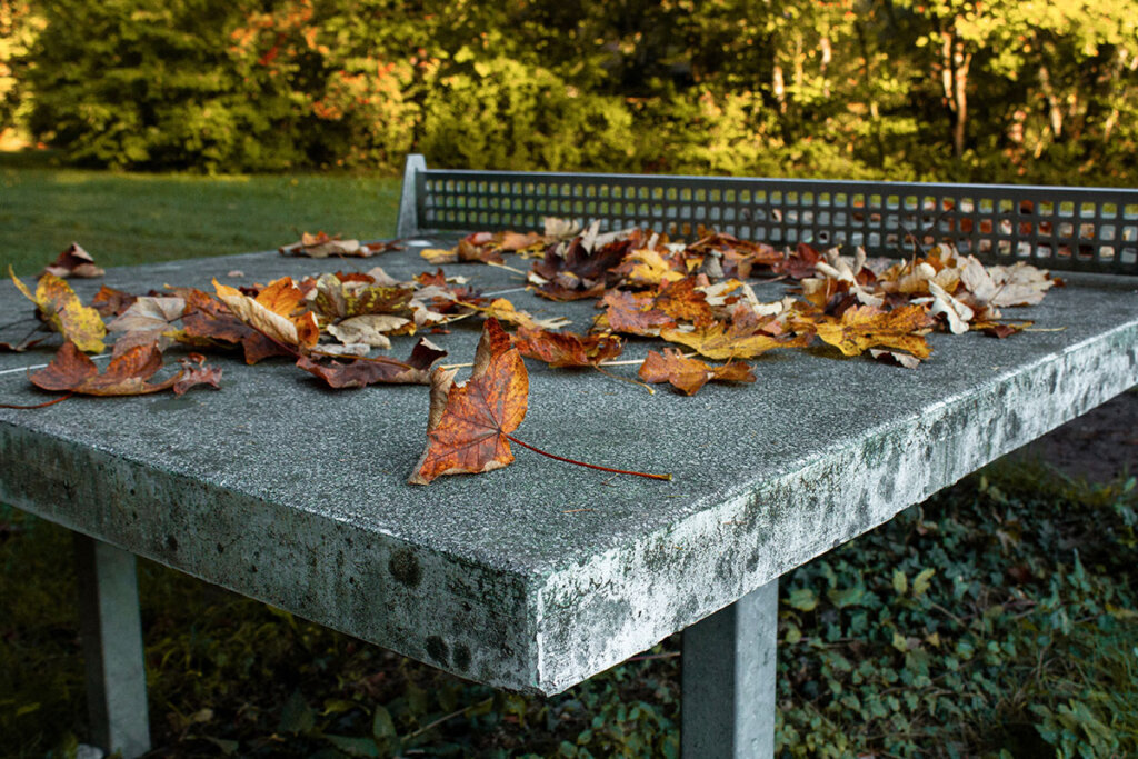 Tavolo da ping-pong in pietra in autunno con fogliame