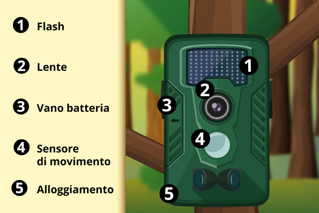 telecamera nel bosco